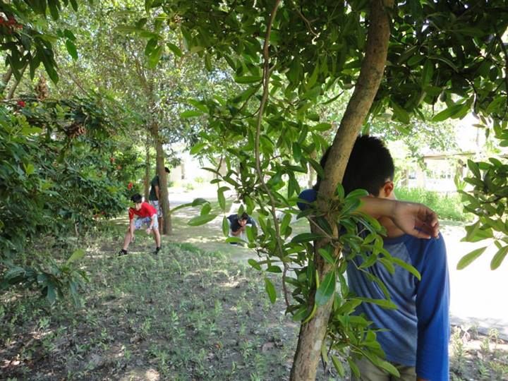 Filipino Taguan games, Hide and Seek played by 4 children in the forest.